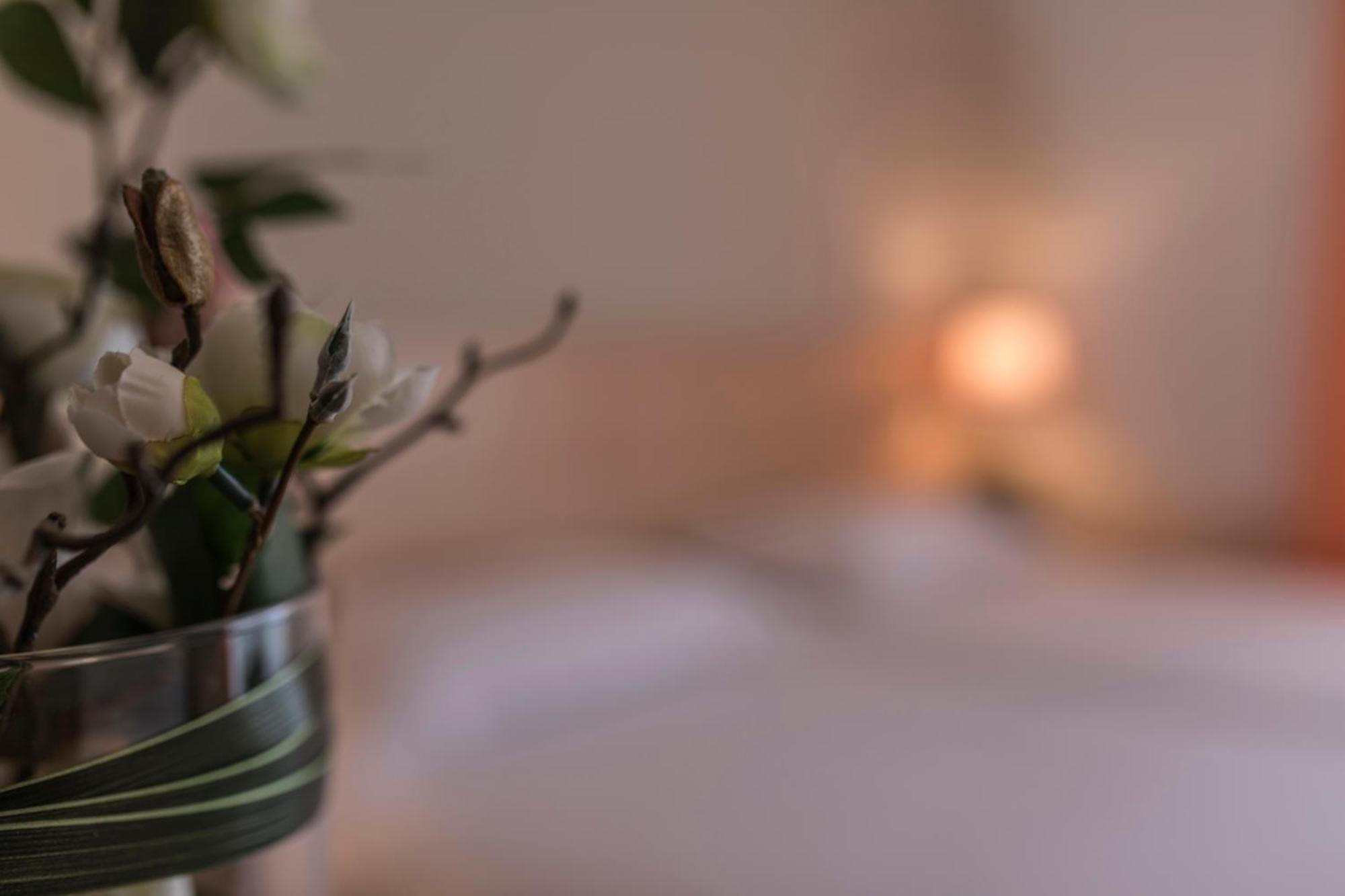 Hotel Donatello Imola Ngoại thất bức ảnh